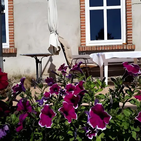 Apartment Für 2-5 Personen *